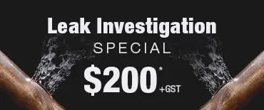 Leak Investigation Discount Manukau Heads