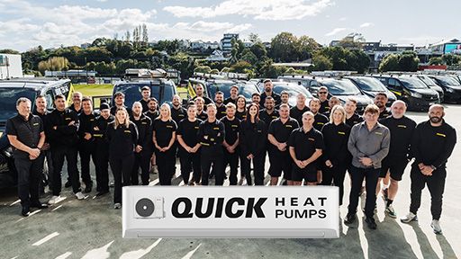 Heat Pump Experts In Manukau Heads